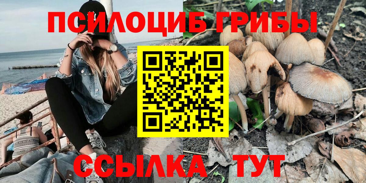 Холмск  Галлюциногенные грибы мицелий  Вход с VPN 