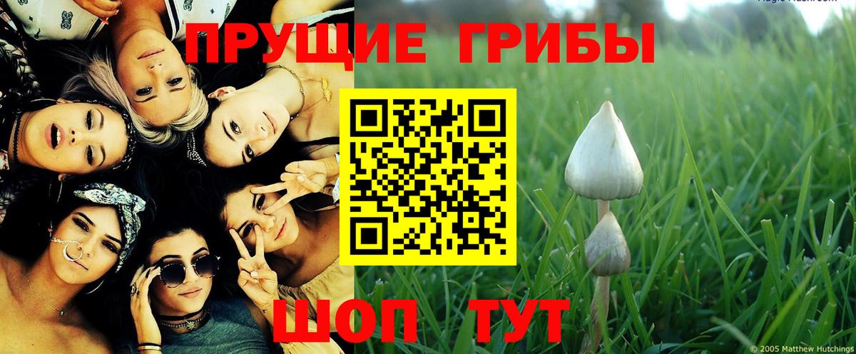 Галлюциногенные грибы Magic Shrooms Холмск